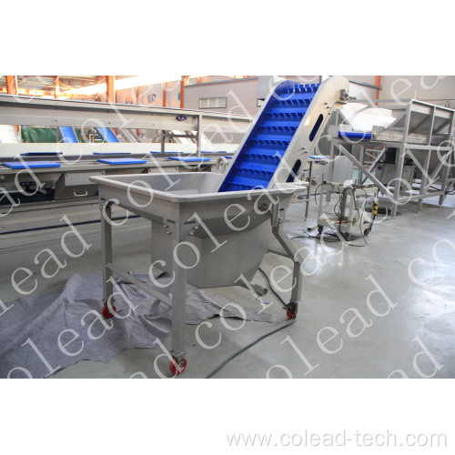 Commercial Pre-soak Washing Elevator for food processing